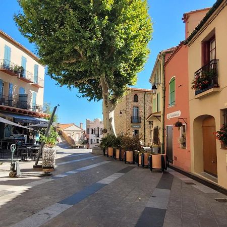 Chambre Climatisee Entre Mer Et Montagne, Avec Sdb Et Wc Privatifs Laroque-des-Albères エクステリア 写真
